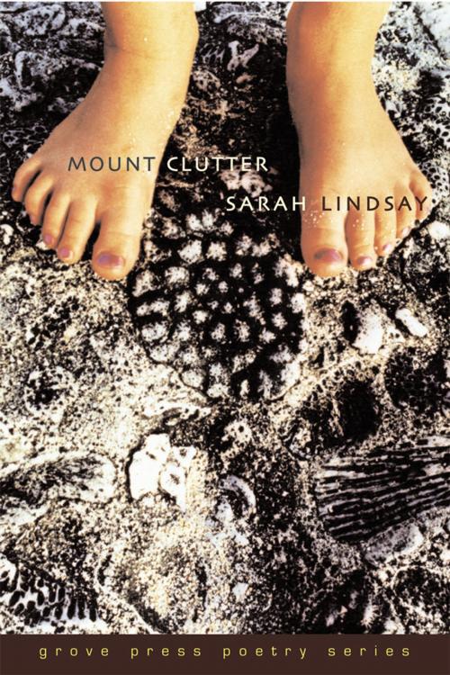 Cover of the book Mount Clutter by Sarah Lindsay, Grove/Atlantic, Inc.