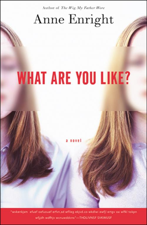 Cover of the book What Are You Like? by Anne Enright, Grove Atlantic