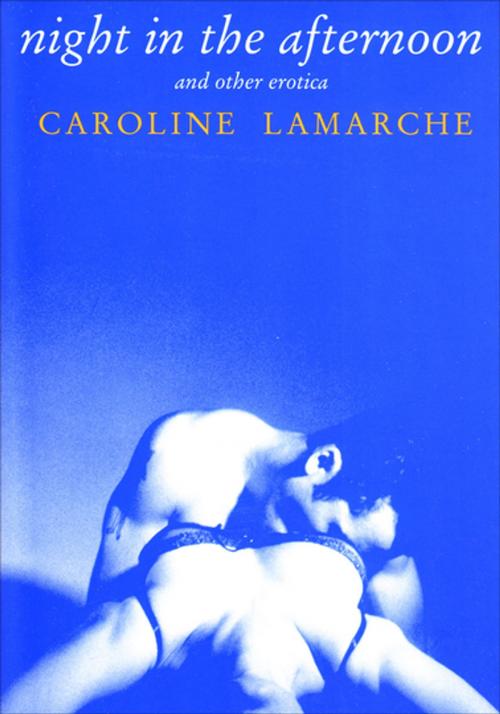 Cover of the book Night in the Afternoon by Caroline Lamarche, Grove Atlantic