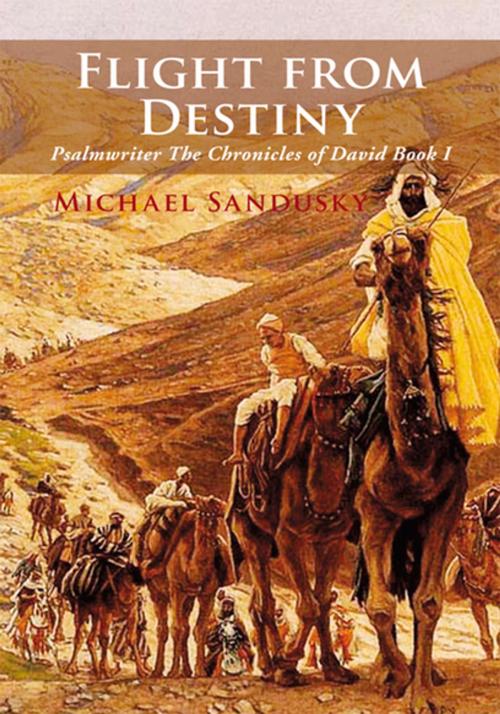 Cover of the book Flight from Destiny by Michael Sandusky, Xlibris US