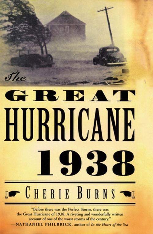 Cover of the book The Great Hurricane, 1938 by Cherie Burns, Grove Atlantic