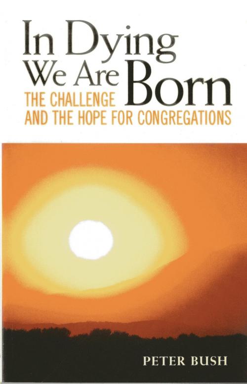 Cover of the book In Dying We Are Born by Peter Bush, Rowman & Littlefield Publishers