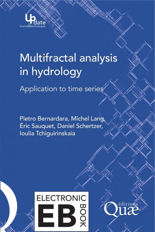 Cover of the book Multifractal Analysis in Hydrology by Daniel Schertzer, Pietro Bernardara, Ioulia Tchiriguyskaia, Michel Lang, Eric Sauquet, Quae