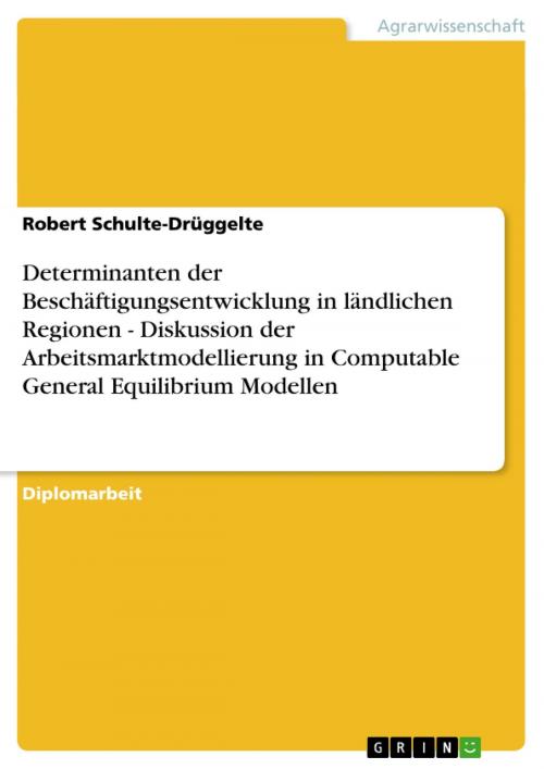 Cover of the book Determinanten der Beschäftigungsentwicklung in ländlichen Regionen - Diskussion der Arbeitsmarktmodellierung in Computable General Equilibrium Modellen by Robert Schulte-Drüggelte, GRIN Verlag