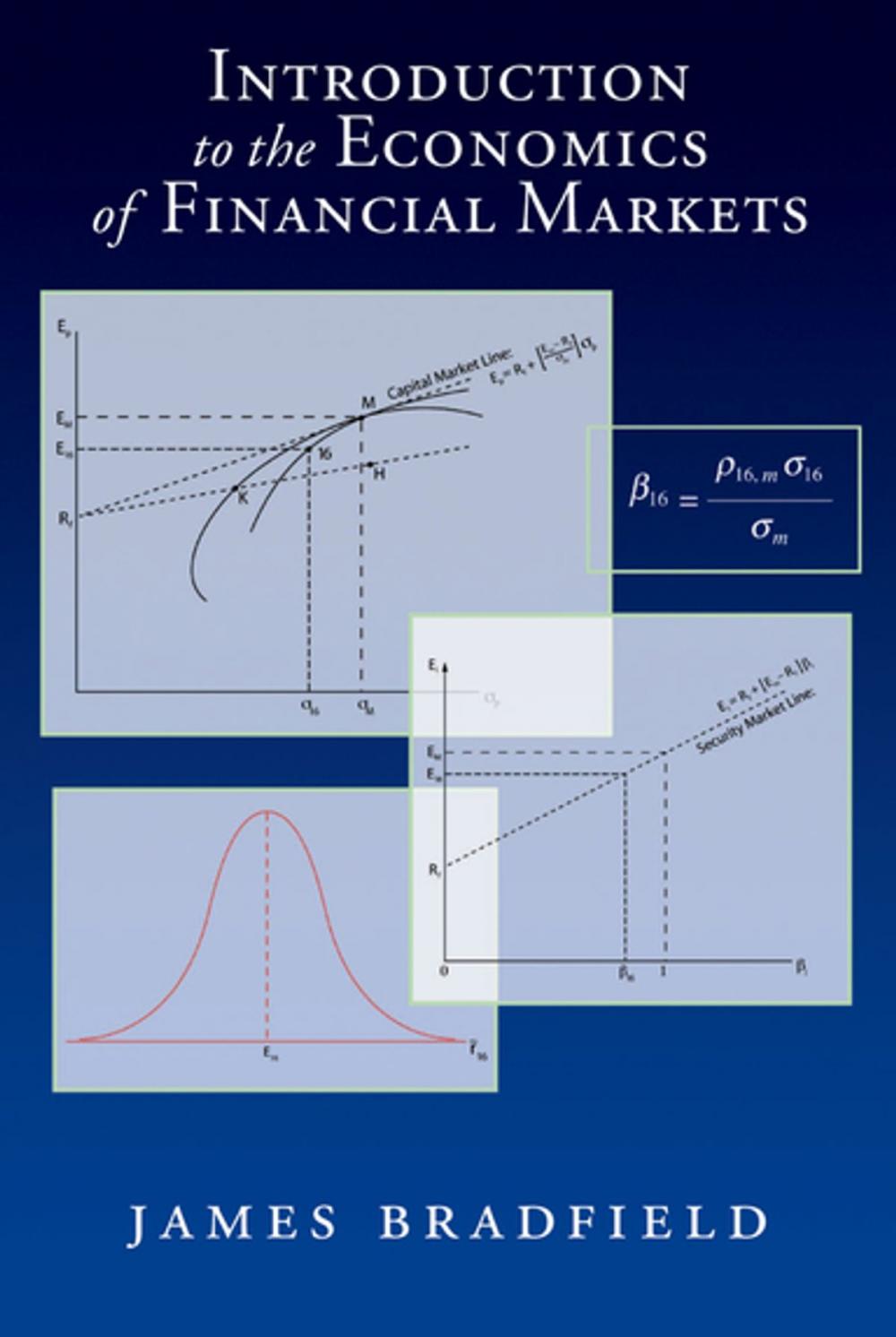 Big bigCover of Introduction to the Economics of Financial Markets