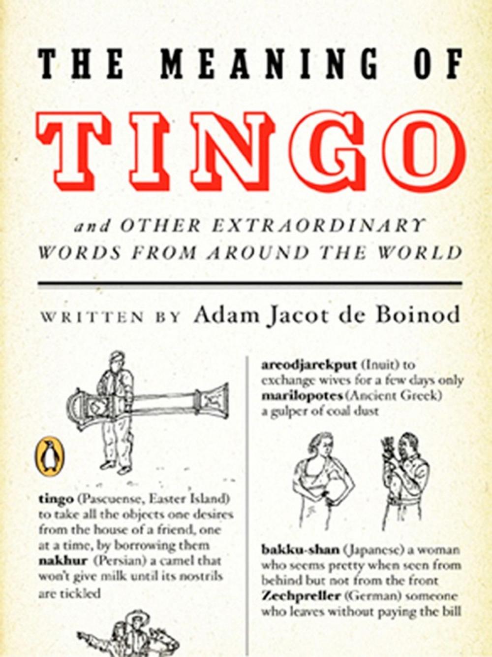 Big bigCover of The Meaning of Tingo