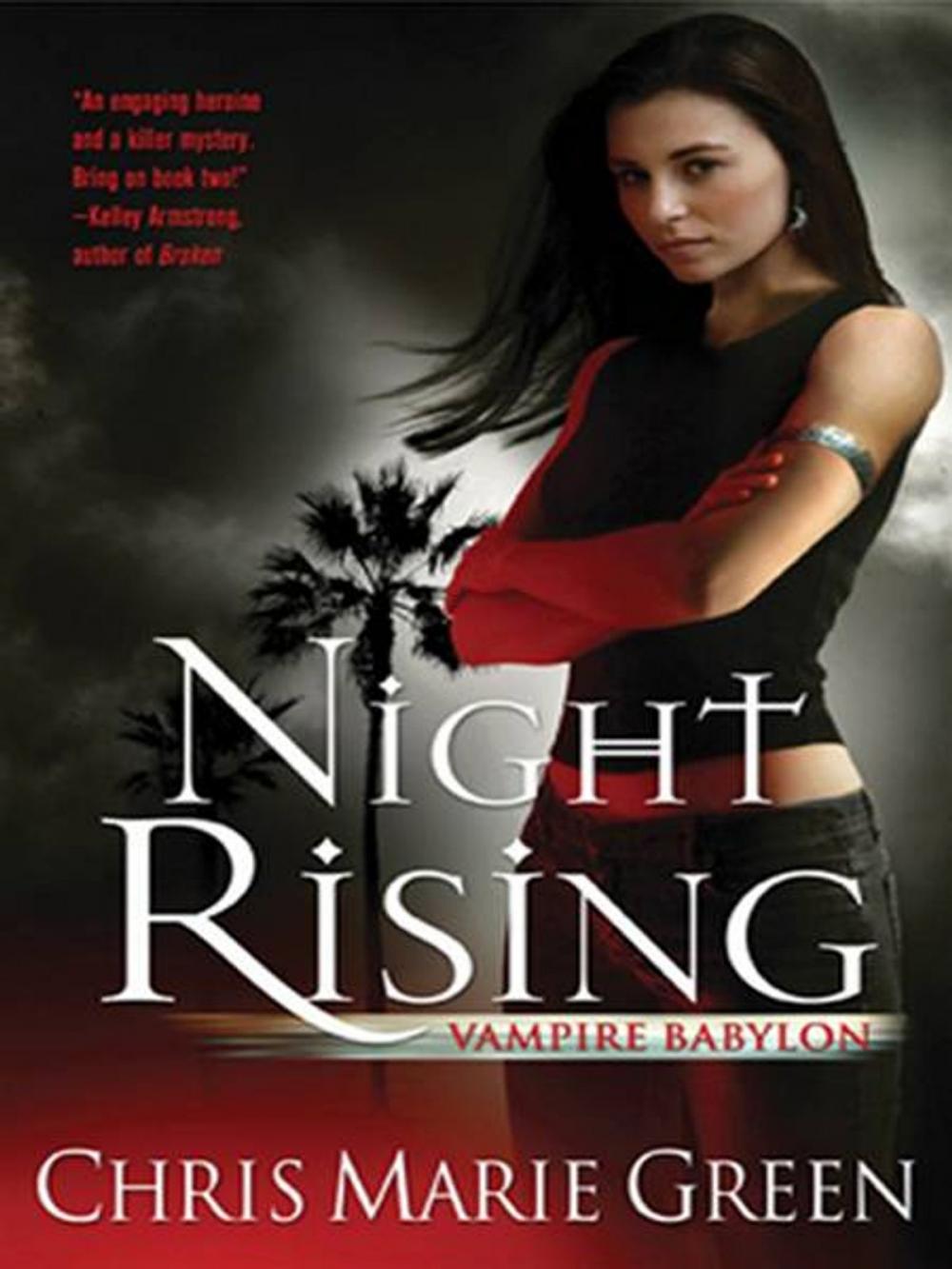 Big bigCover of Night Rising