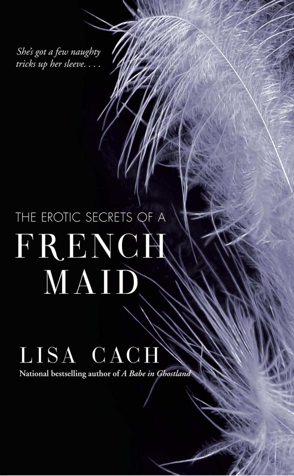 Big bigCover of The Erotic Secrets of a French Maid