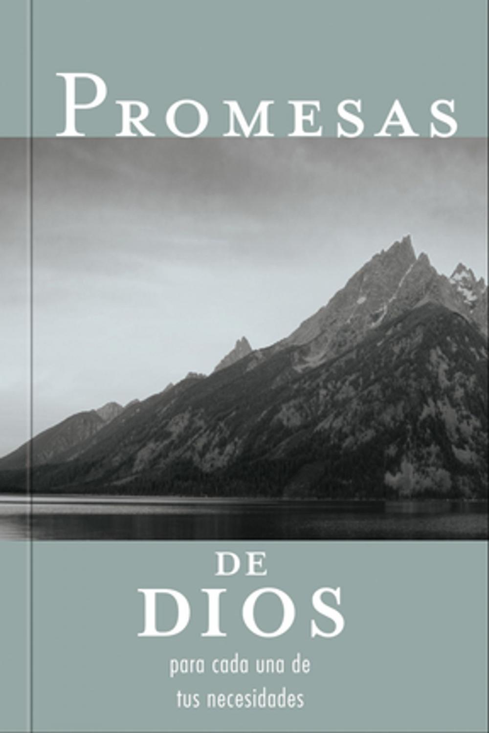 Big bigCover of Promesas de Dios