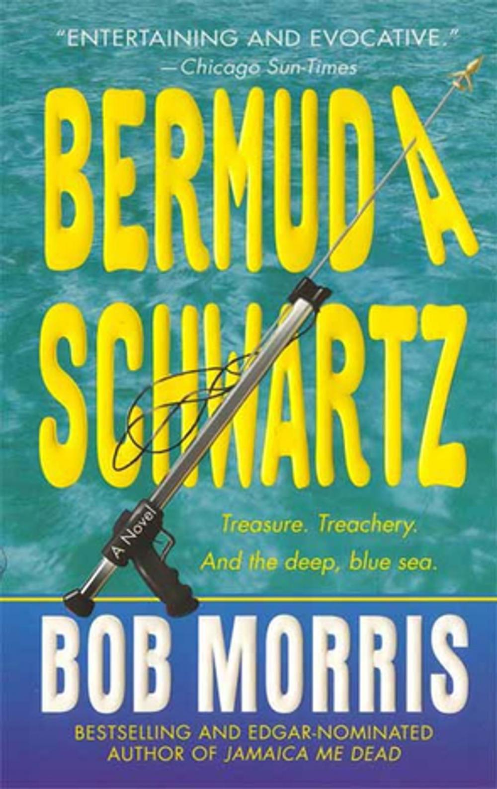 Big bigCover of Bermuda Schwartz