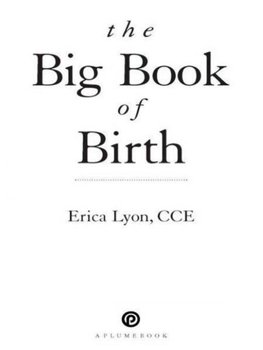 Big bigCover of The Big Book of Birth