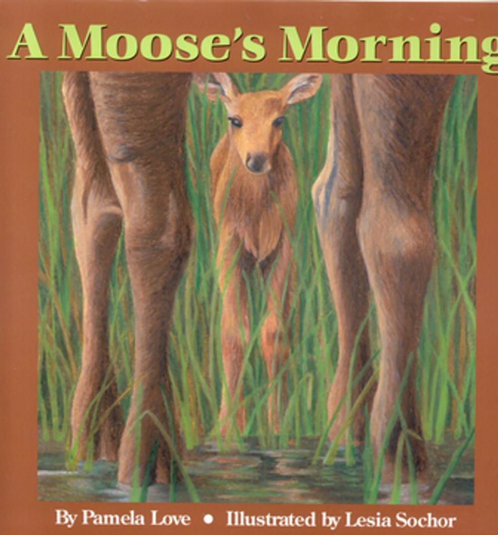 Big bigCover of A Moose's Morning