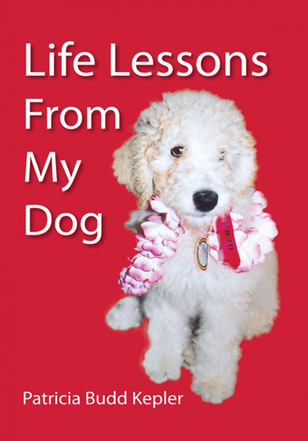 Big bigCover of Life Lessons from My Dog