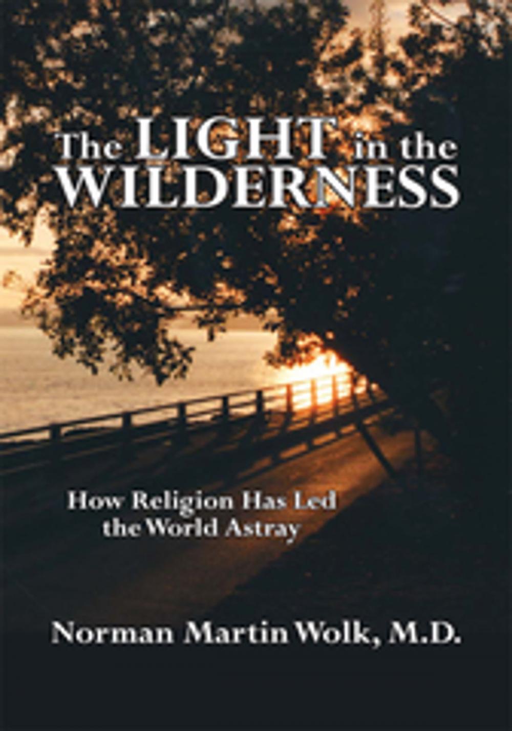 Big bigCover of The Light in the Wilderness