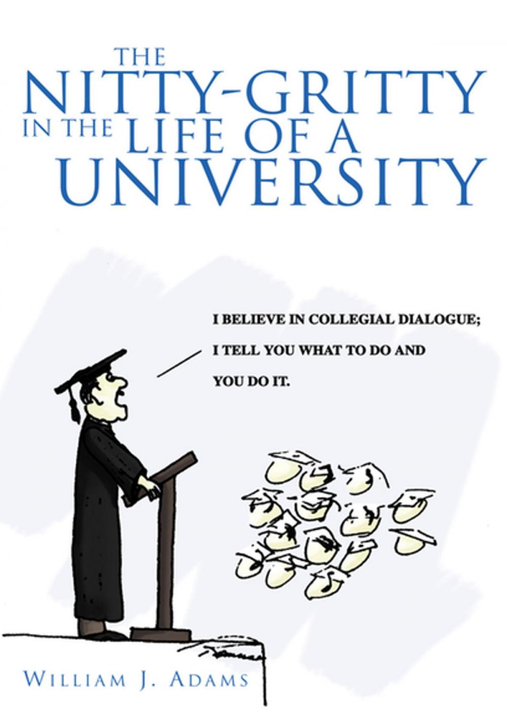 Big bigCover of The Nitty-Gritty in the Life of a University