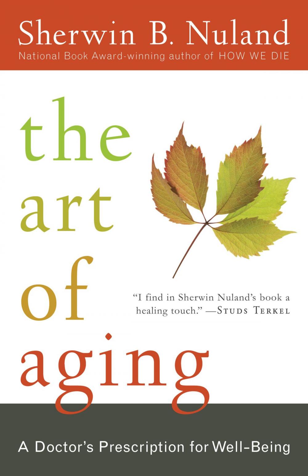 Big bigCover of The Art of Aging