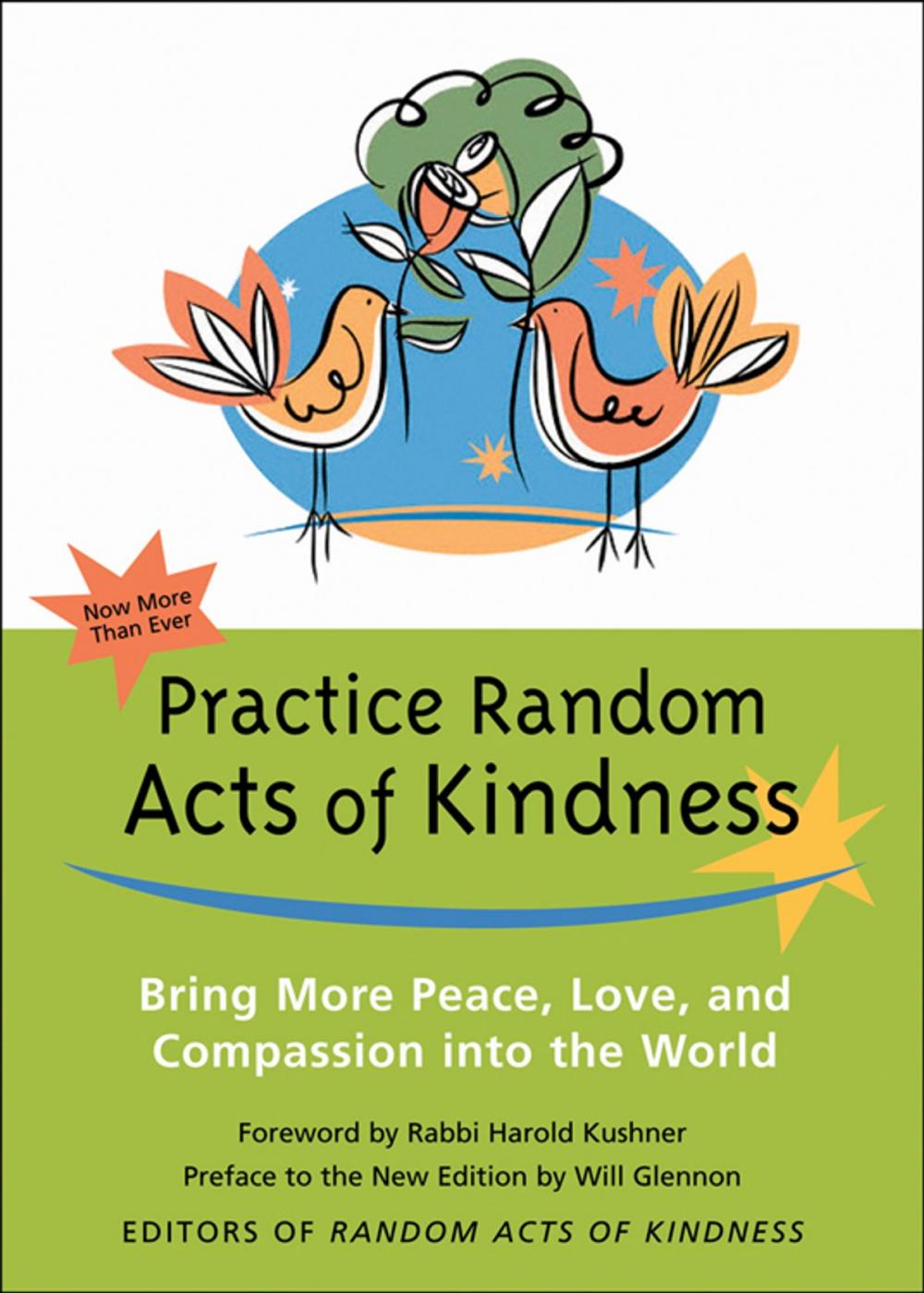 Big bigCover of Practice Random Acts of Kindness