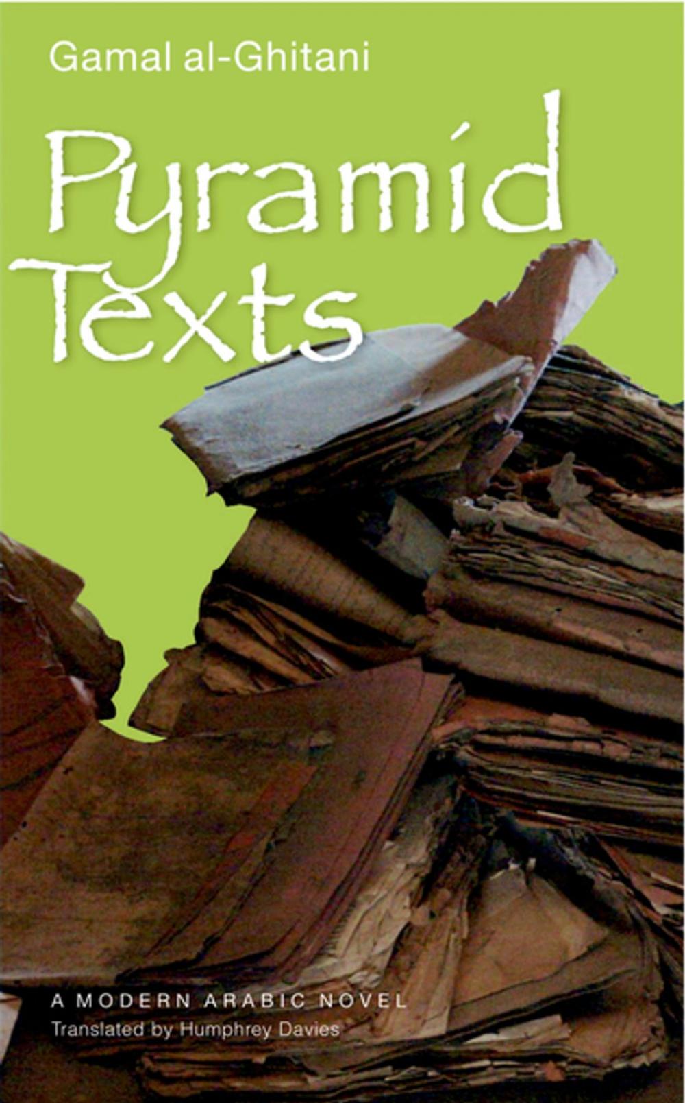 Big bigCover of Pyramid Texts