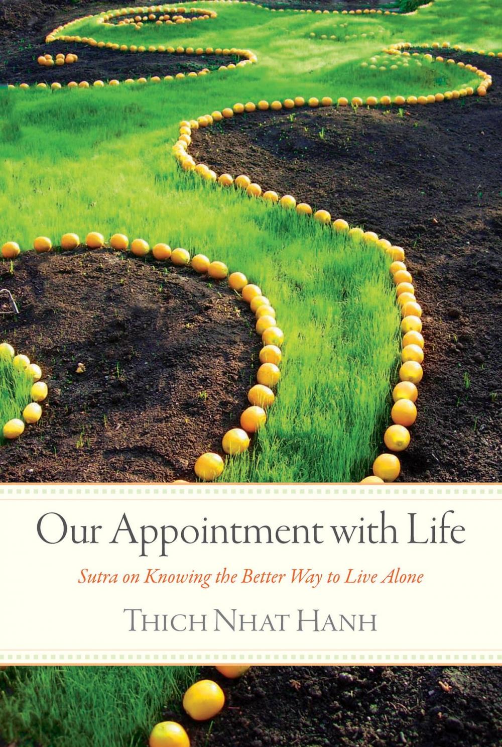 Big bigCover of Our Appointment with Life