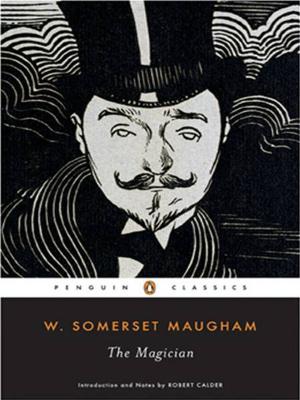 Cover of the book The Magician by William Shakespeare