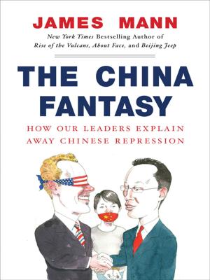 Book cover of The China Fantasy
