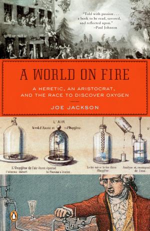 Cover of the book A World on Fire by Nancy Haddock