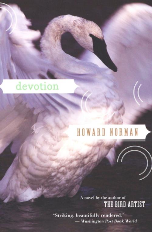 Cover of the book Devotion by Howard Norman, Houghton Mifflin Harcourt