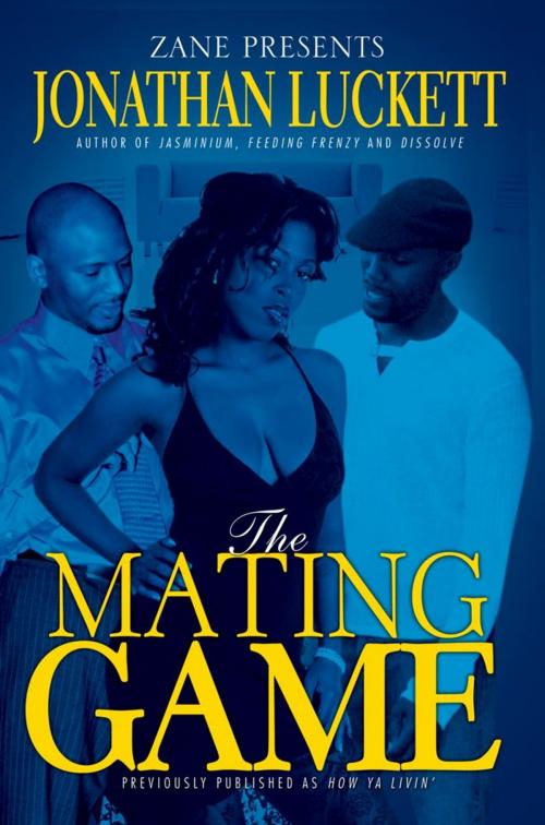 Cover of the book The Mating Game by Jonathan Luckett, Strebor Books