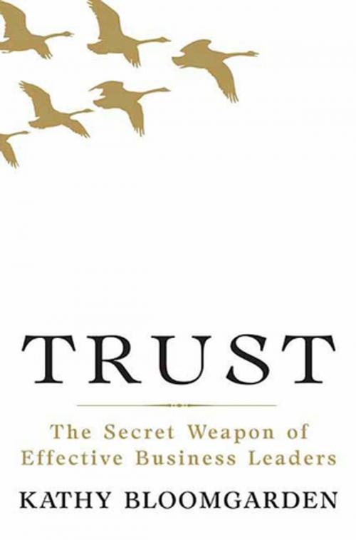 Cover of the book Trust by Kathy Bloomgarden, St. Martin's Press