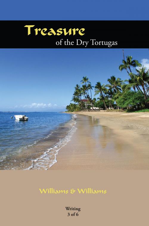 Cover of the book Treasure of the Dry Tortugas by Williams, AuthorHouse