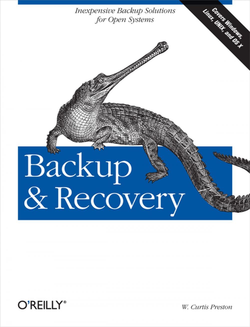 Big bigCover of Backup & Recovery