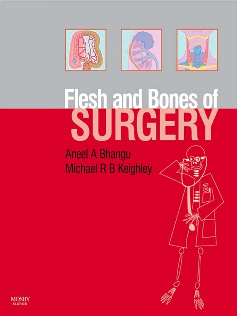 Big bigCover of The Flesh and Bones of Surgery