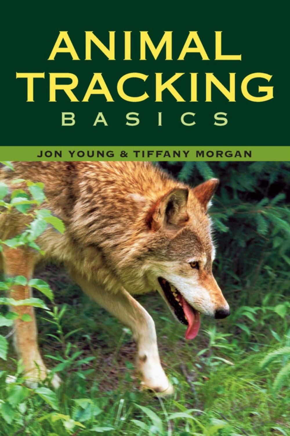 Big bigCover of Animal Tracking Basics