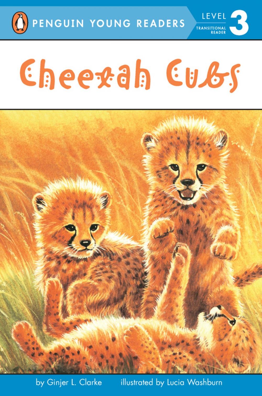 Big bigCover of Cheetah Cubs