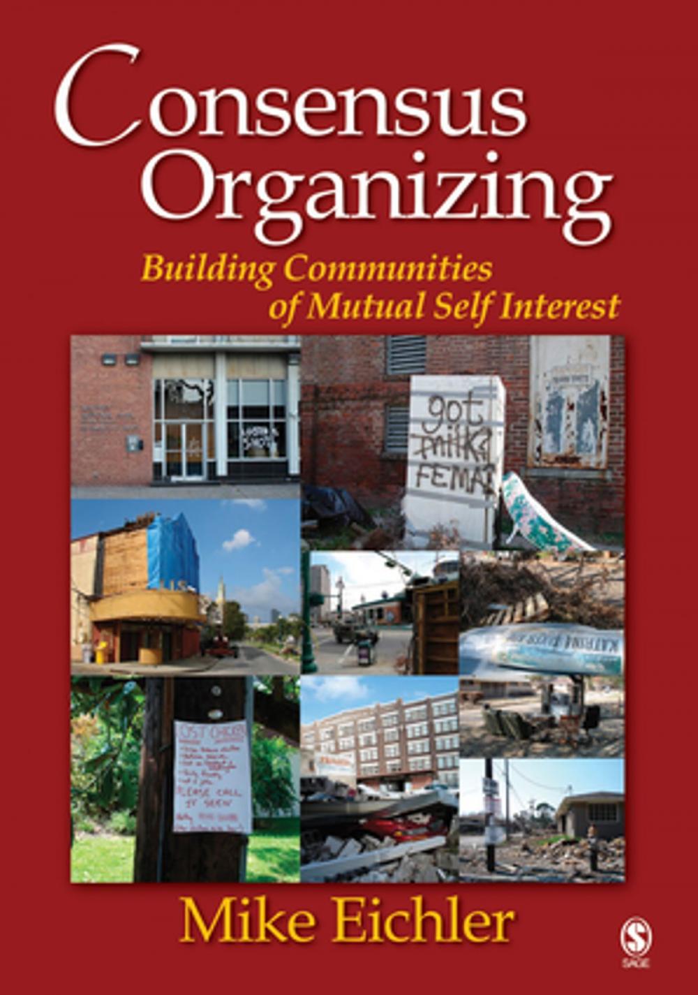 Big bigCover of Consensus Organizing