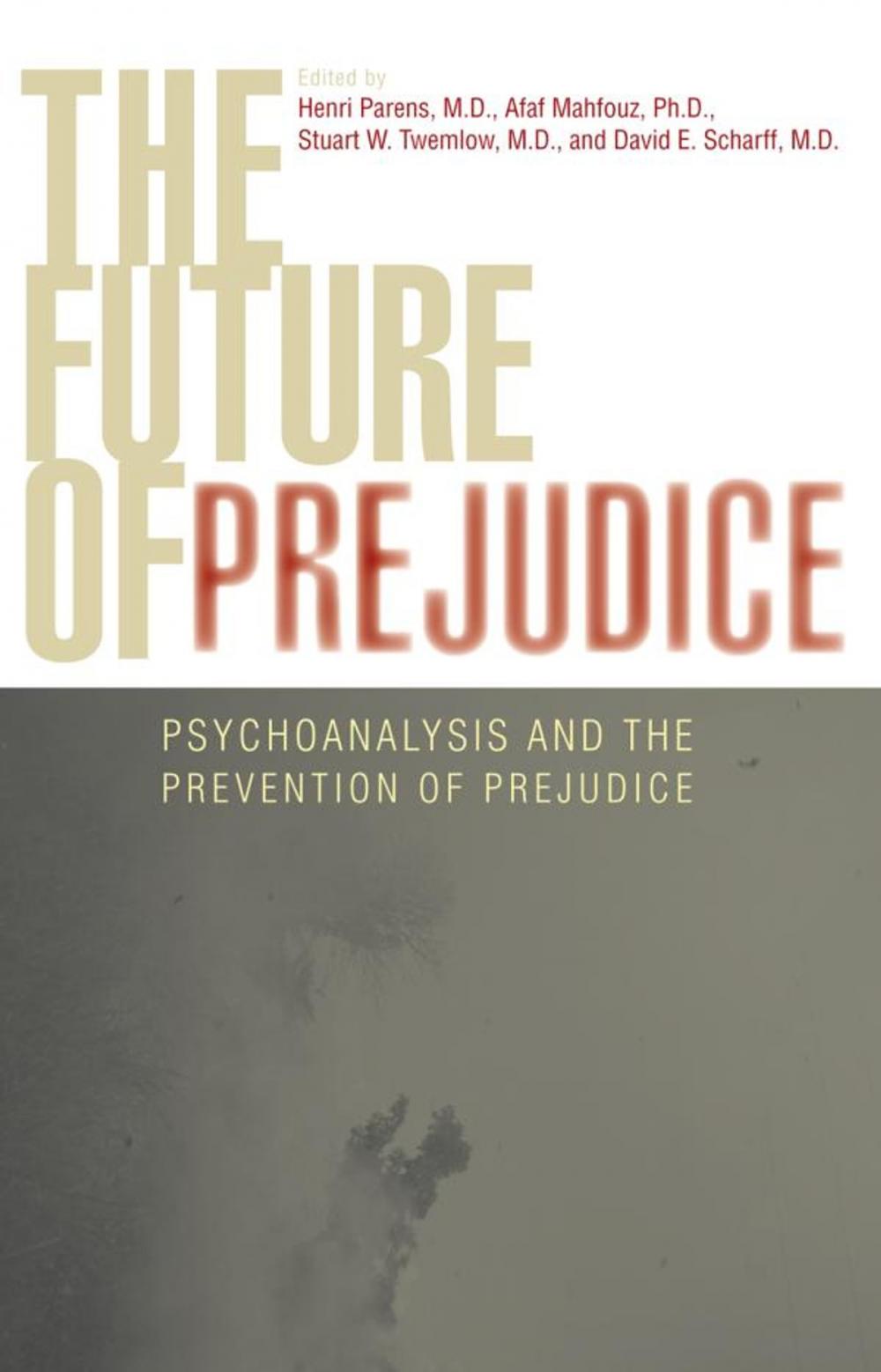 Big bigCover of The Future of Prejudice