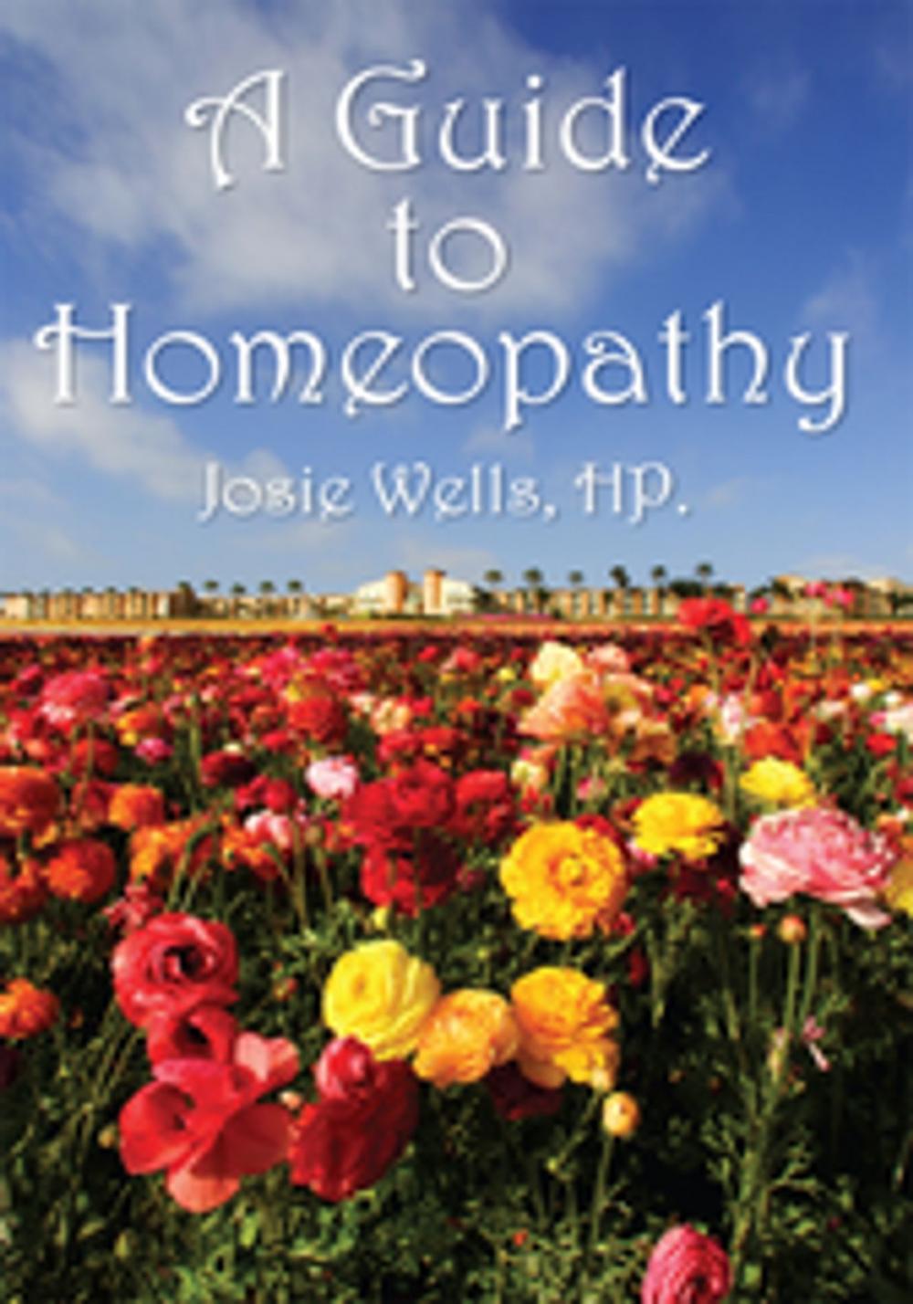 Big bigCover of A Guide to Homeopathy