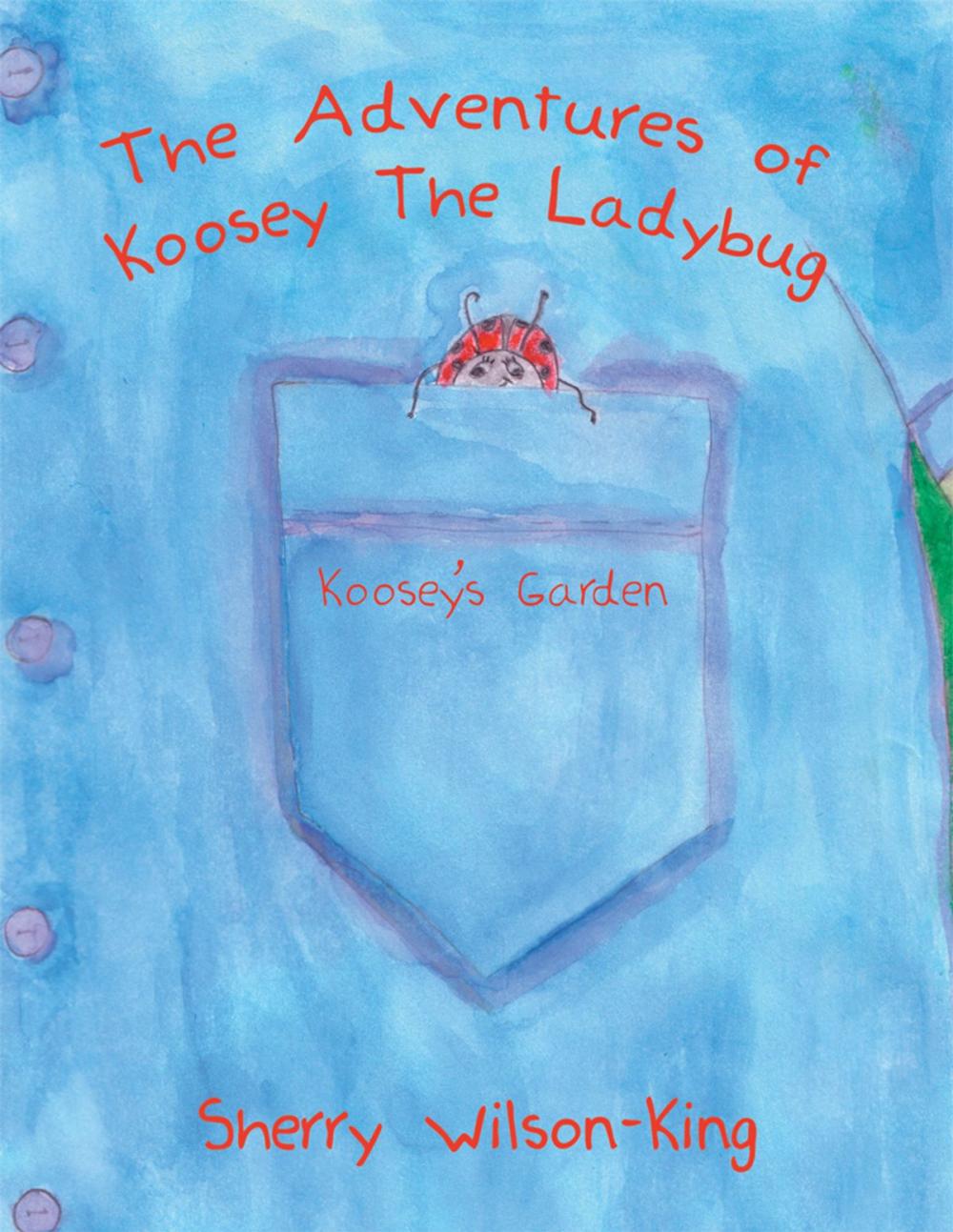 Big bigCover of The Adventures of Koosey the Ladybug