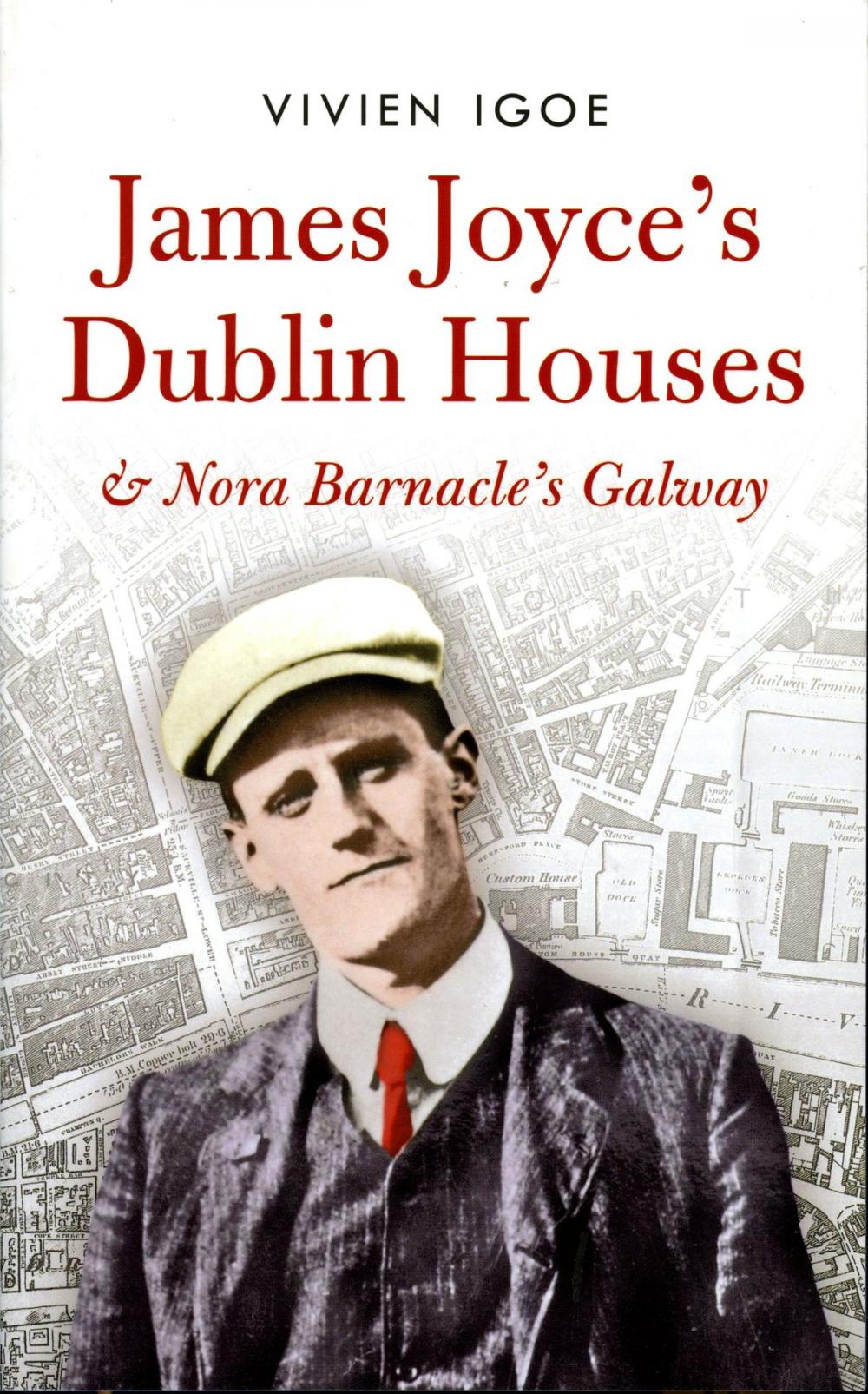 Big bigCover of James Joyce's Dublin Houses