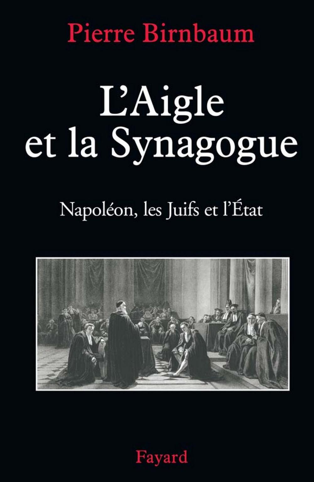 Big bigCover of L'Aigle et la Synagogue