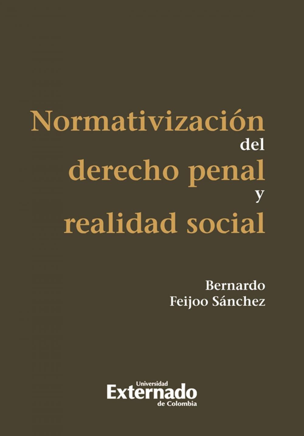 Big bigCover of Normativización del derecho penal y realidad social