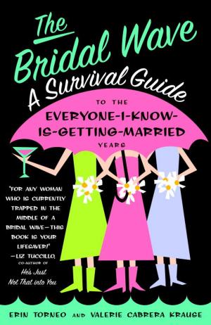 Cover of the book The Bridal Wave by Gillian Snoxall