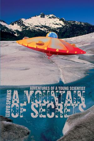 Cover of the book A Mountain of Secrets by Anya Monroe
