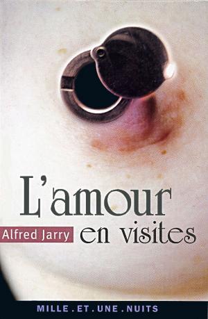 Cover of the book L'amour en visites by Eric Rouleau
