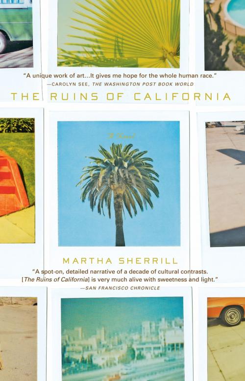 Cover of the book The Ruins of California by Martha Sherrill, Penguin Publishing Group