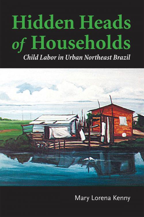 Cover of the book Hidden Heads of Households by Mary Lorena Kenny, University of Toronto Press, Higher Education Division