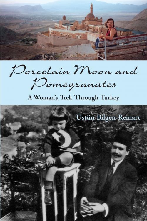 Cover of the book Porcelain Moon and Pomegranates by Üstün Bilgen-Reinart, Dundurn