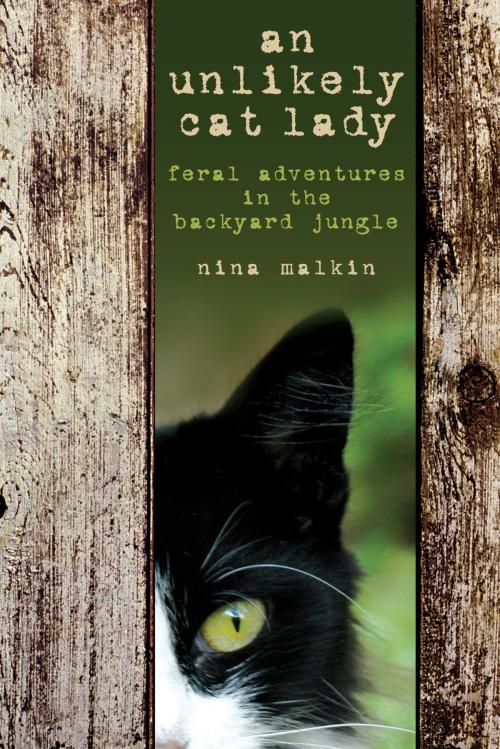 Cover of the book Unlikely Cat Lady by Nina Malkin, Lyons Press