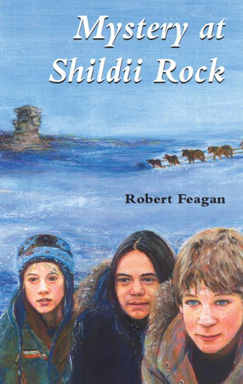 Cover of the book Mystery at Shildii Rock by Robert Feagan, Dundurn