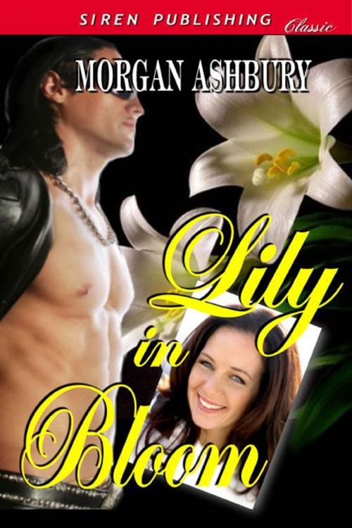 Cover of the book Lily In Bloom by Morgan Ashbury, Siren-BookStrand